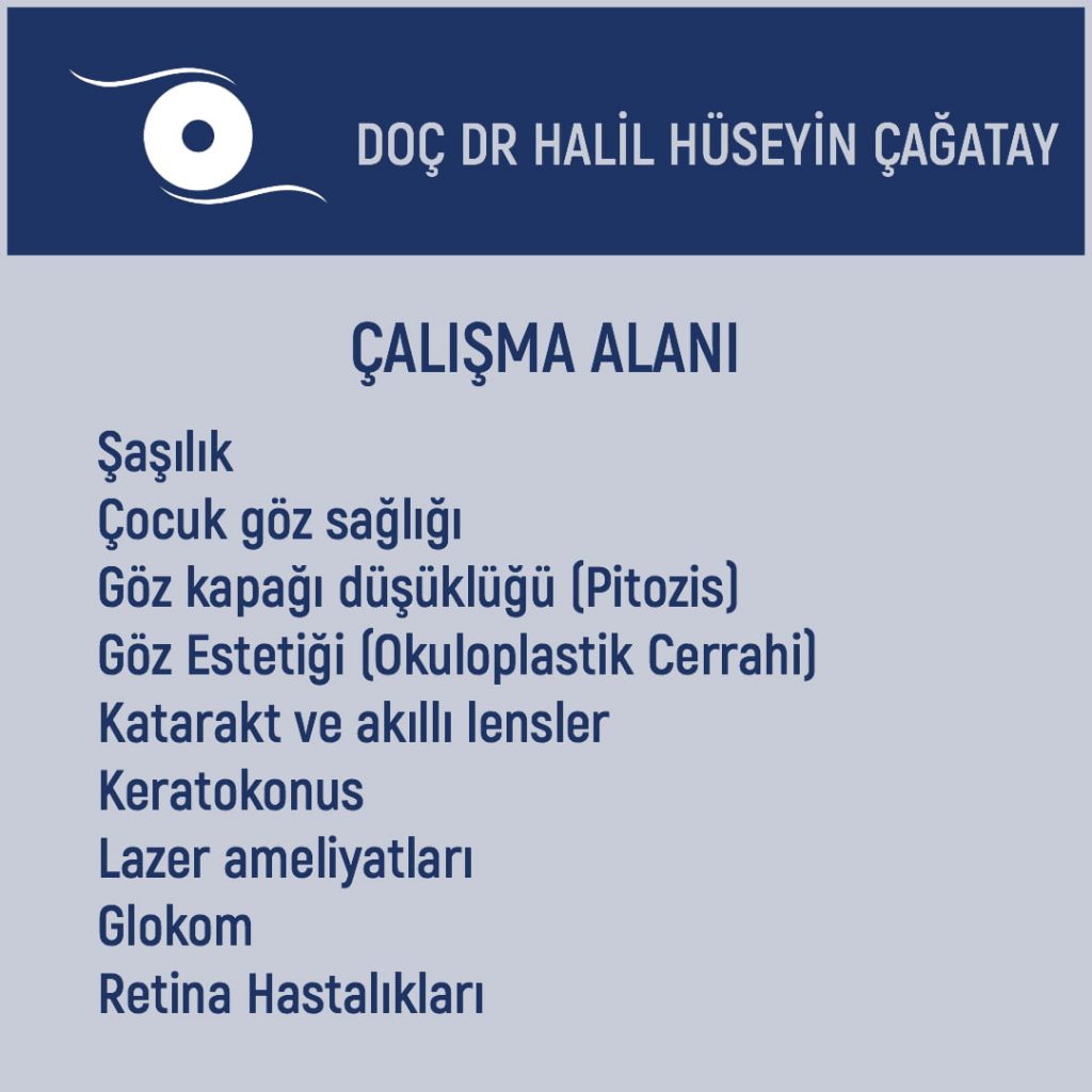 Çalışma Alanları